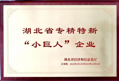 湖北省專精特新“小巨人”企業(yè)